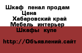 Шкаф- пенал продам › Цена ­ 1 000 - Хабаровский край Мебель, интерьер » Шкафы, купе   